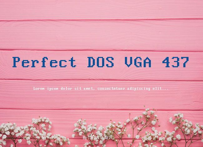 Perfect DOS VGA 437 example